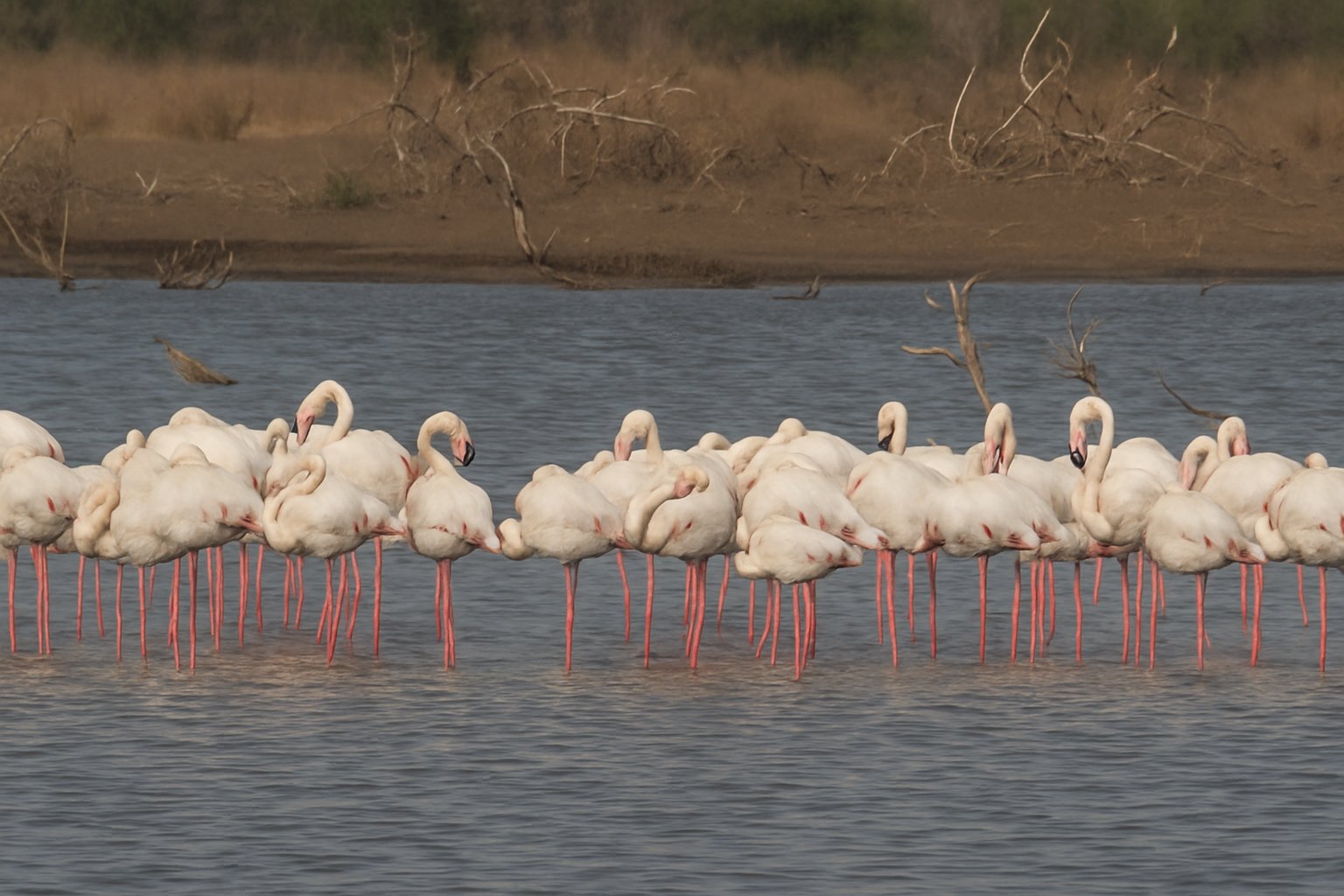 Best Places to Visit in Senegal