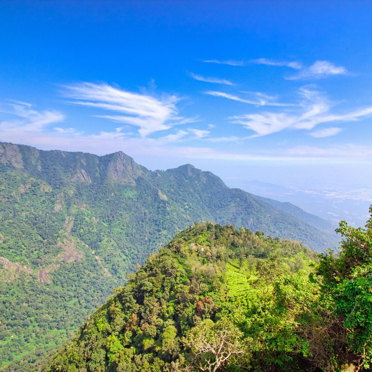 Dolphin's Nose in Ooty