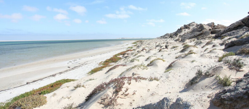 Dragon Island