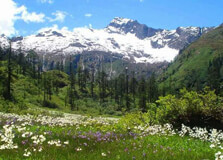 Dri Valley in Dibang