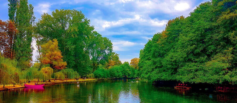 Drilon National Park