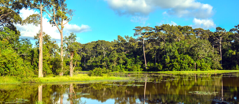Dulahazra Safari Park