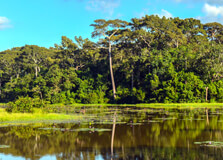 Dulahazra Safari Park in Chittagong
