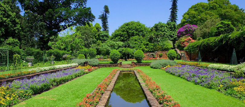 Durban Botanical Gardens