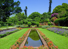 Durban Botanical Gardens in Durban