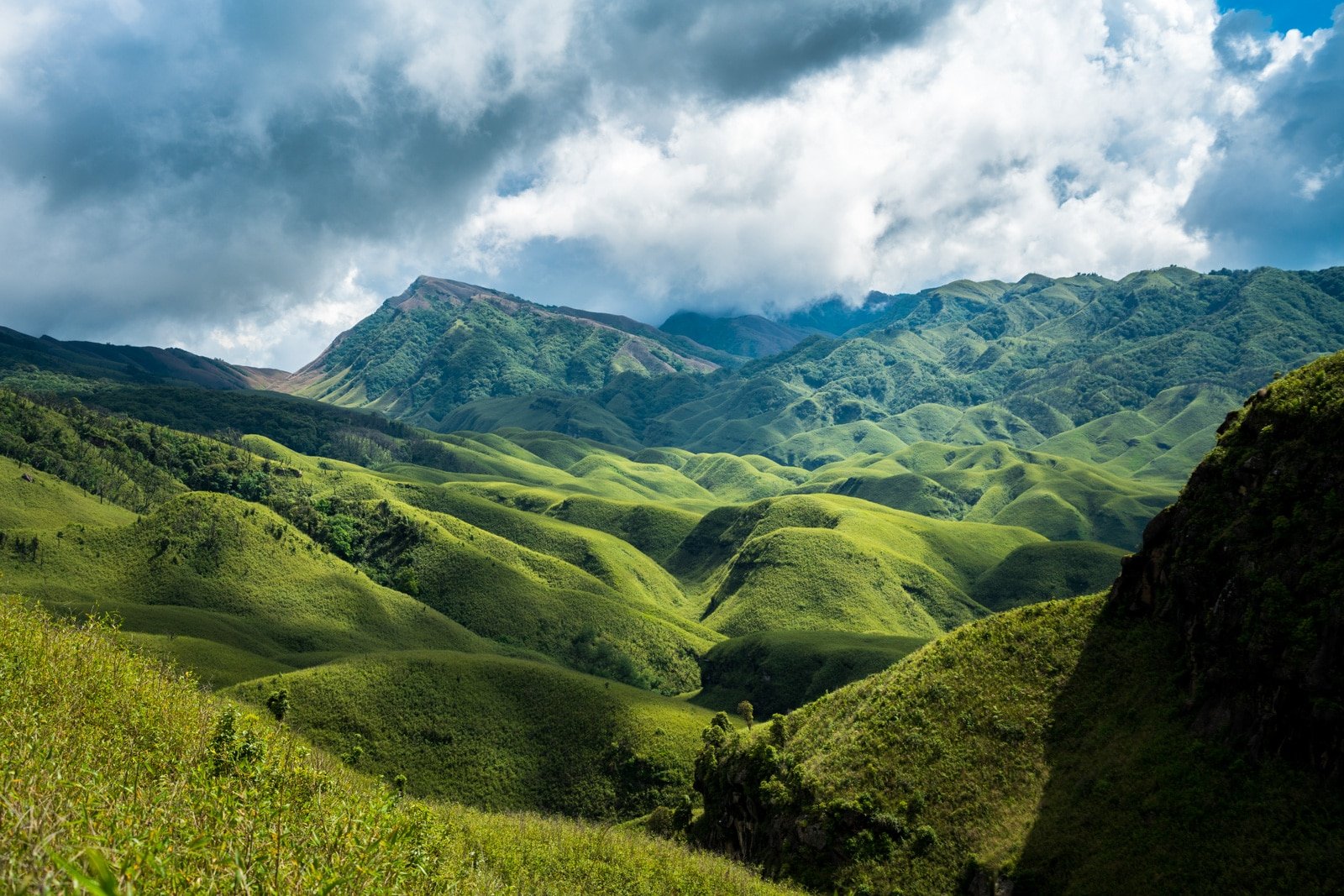 Dzükou Valley in Kohima