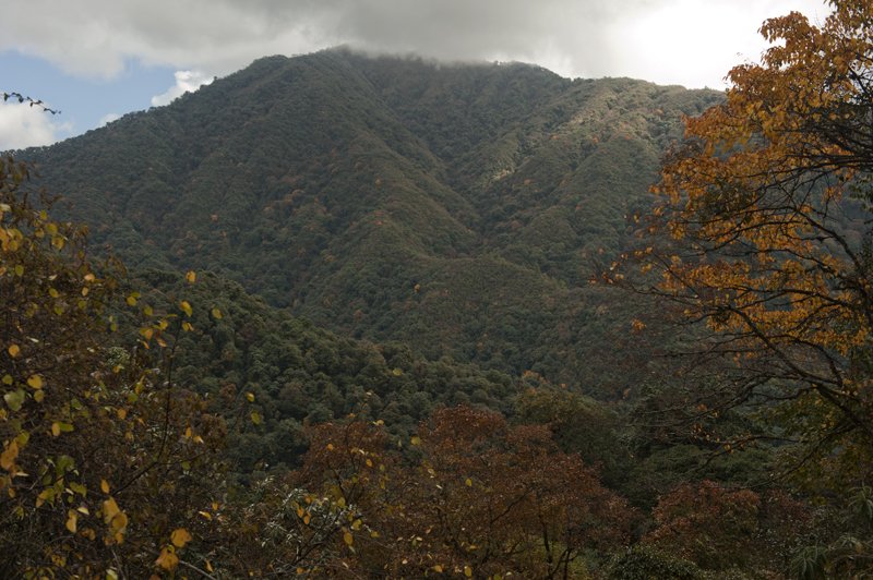 Eaglenest Wildlife Sanctuary in Bomdila