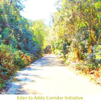 Eden to Addo Biodiversity Corridor in Garden Route