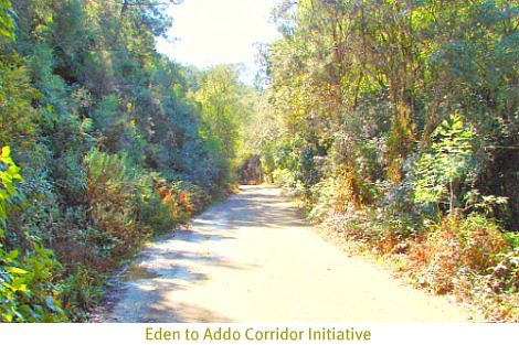 Eden to Addo Biodiversity Corridor