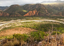Eden to Addo Biodiversity Corridor in Garden Route