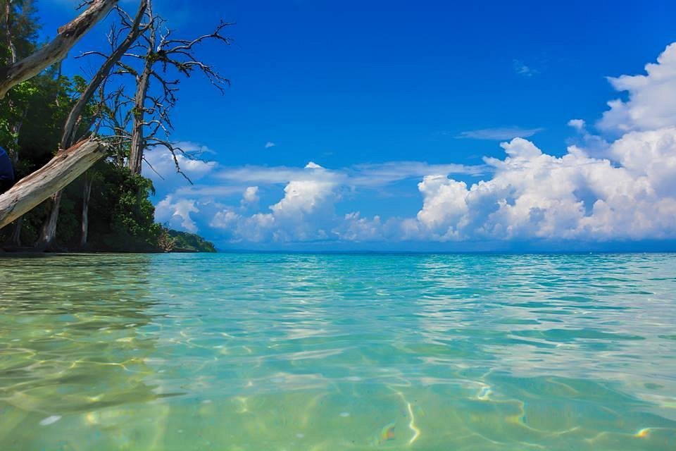 Elephant Beach in Andaman