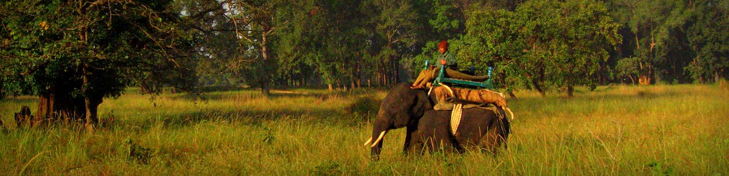 Elephant Safari in Mandla