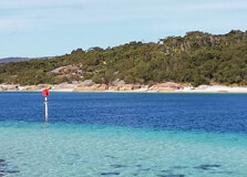 Emu Point in Albany