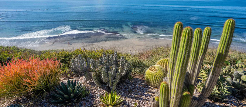 Encinitas Beach