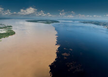 Encontro das Aguas in Manaus