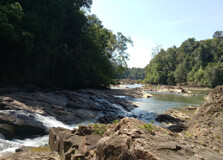 Endau Rompin National Park in Johor Bahru