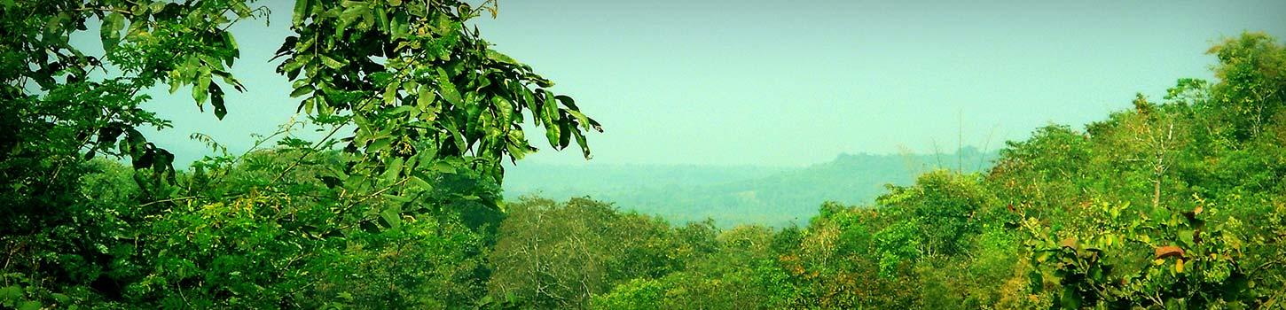 Eturnagaram Wildlife Sanctuary