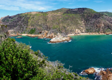 Featherbed Nature Reserve in Garden Route