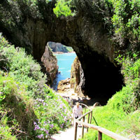 Featherbed Nature Reserve in Garden Route