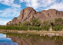 Fint Oasis in Ouarzazate