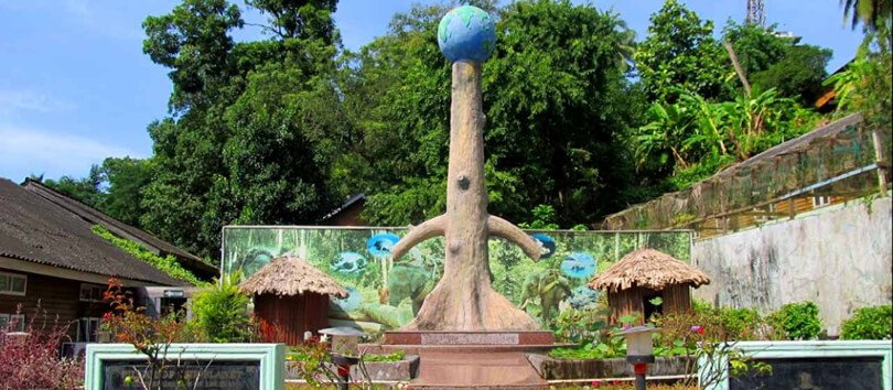 Forest Museum in Andaman & Nicobar Islands