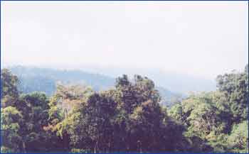 Frasers Hill in Pahang