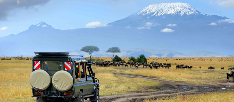 Game Drive