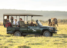 Game Drives Safari in Masai Mara