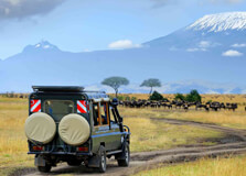 Game Drive