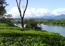 Gandhibag Park in Silchar