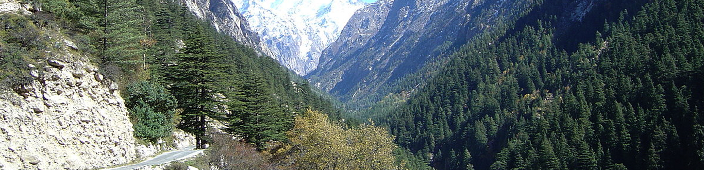 Gangotri Hills