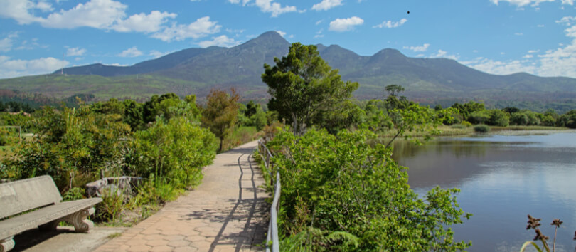 Garden Route Botanical Garden