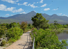 Garden Route Botanical Garden in George