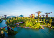 Gardens by the Bay