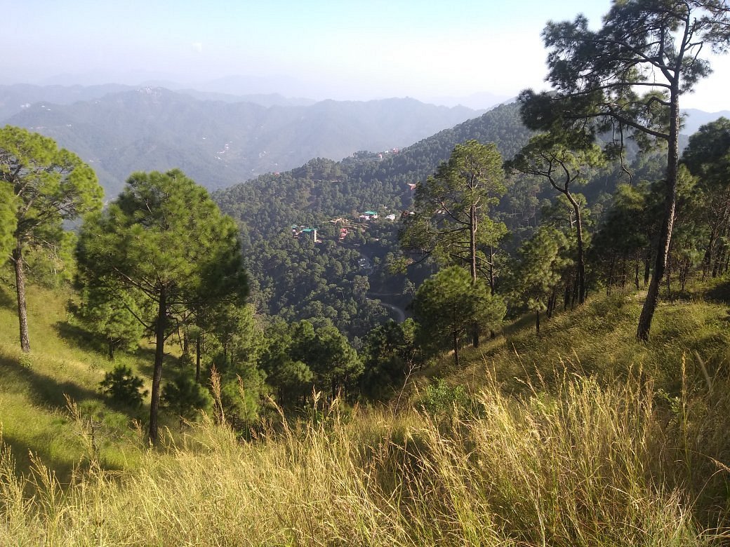 Gilbert Trail in Kasauli