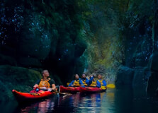 Glow Worm Kayaking in Bay Of Plenty