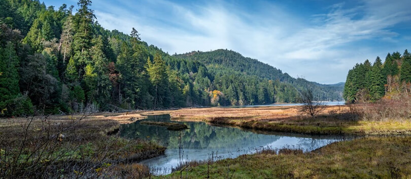 Goldstream Provincial Park