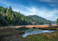 Goldstream Provincial Park in Victoria Island