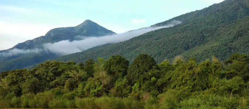 Gombe Stream National Park
