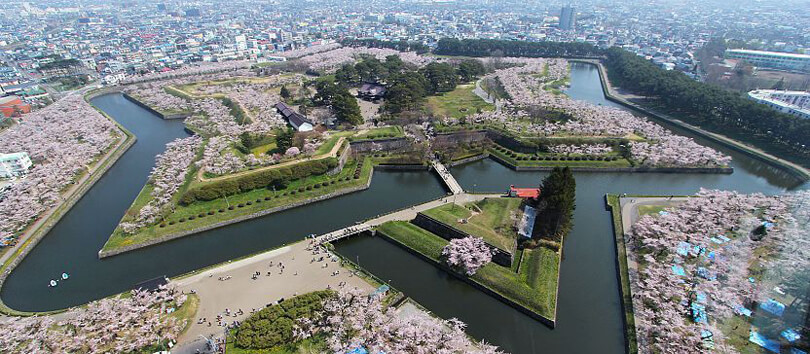 Goryokaku Tower