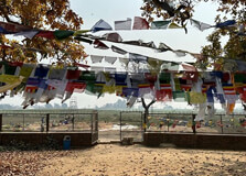 Gotihawa in Kapilvastu