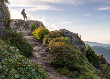 Great Smoky Mountains National Park in North Carolina