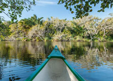 Greater St Lucia Wetlands Park in Kwazulu Natal
