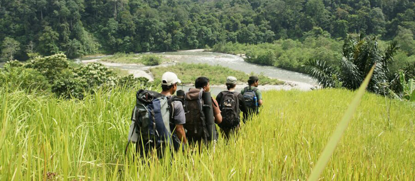 Gunung Leuser National Park