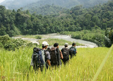 Gunung Leuser National Park in Sumatra
