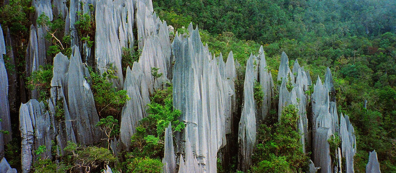 Gunung Mulu National Park