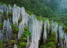Gunung Mulu National Park in Sarawak