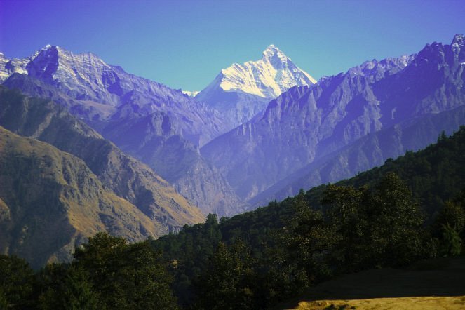 Gurso Bugyal in Auli
