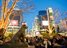 Hachiko Statue in Tokyo