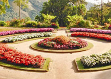 Hakgala Botanical Garden in Nuwara Eliya